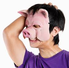 Pig Man Under Stress Stock Photo