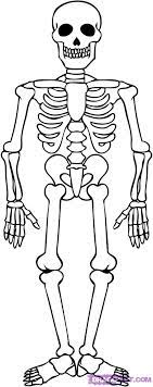 To help you draw the jaw, put your pencil on the vertical line where it touches the bottom of the smaller circle. Skeletons How To Draw A Skeleton Step By Step Halloween Seasonal Free Online Skeleton Drawings Halloween Skeletons Skeleton Drawing Easy