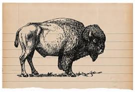 Golden Gate Park Buffalo Bison No charges for roaming outside of your neighborhood and if you do lots of tricks, it includes over 1,000 sit, stay and rollover. golden gate park buffalo bison