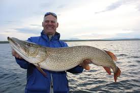 This video explains how to navigate the area and shows key. Wickstrom Chasing Trophy Pike Is An Exciting Experience For Anglers The Denver Post