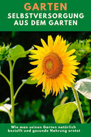 Pin On Healthy Cooking Receipes For Beginners