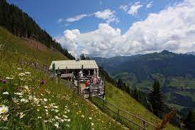 Wir freuen uns auf euch! Viehhausalm Tourismusverband Grossarltal