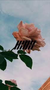 Find gifs with the latest and newest hashtags! 450 Naruto Iphone 5 Wallpaper Tumblr Luxury Ikon Kpop Aesthetic Android Iphone Hd Wallpaper Background Download Png Jpg 2021