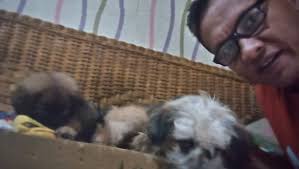 Dennis Secuya Campilanan