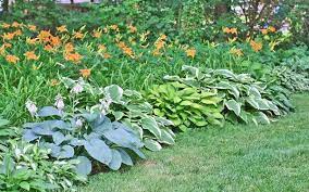 Gray river rock provides interest as filler between the pavers. 15 Edging Ideas To Make Your Garden Pop Daylily Garden Day Lilies Day Lilies And Hostas