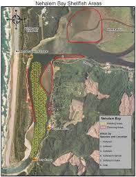 Nehalem bay state park has always been one of my favorite state campgrounds. Nehalem Bay State Park Oregon State Parks