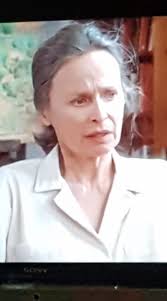 Did ya'll watch Gilmore Girls? They mention Little House twice. The first  time even mentioning the Greenbush twins.