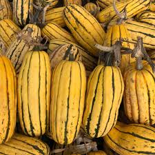 Sep 21, 2020 · most winter squash are ready to harvest 60 to 110 days from sowing. Winter Squash Zeppelin Delicata Deep Harvest Farm