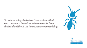 Learn more about charlotte nc termite control. Termite Control Inspection Termite Treatment Charlotte Carolina Pest