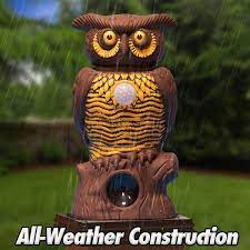 We are local pest control business employing 14 people across dublin and leinster since 1998. Owl Alert Bulbhead