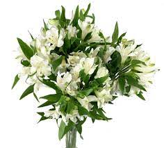 Douglas elliman (palm beach), beachesmls. Palm Beach Wholesale Flowers