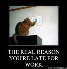Look around and show gratitude for your work. Funny Thursday Quotes For Work Quotesgram