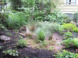 Rain Gardens Emswcd