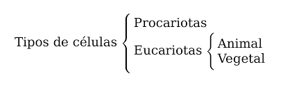 A continuación analizamos las características de este. Bellidoj Latex Para Profes Esquemas Con Llaves