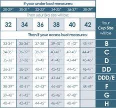 Image Result For Bra Size Chart Bra Size Charts Bra Size