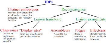 Https Www Theses Fr 2019sacls257 Pdf