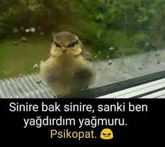 Senin Sinirini Yerim Ben Komik Alintilar Komik Seyler Komik