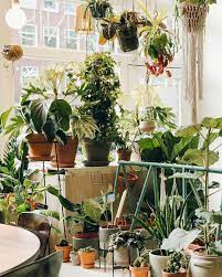 Pin On Gardenisto