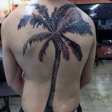 50 inspiring palm tree tattoo ideas. Palm Tree Tropical Tattoo Designs Unique Palm Tree Tattoo In 2020