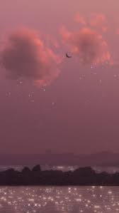 They have all been in hawaii. Hd Tropical Pink Sunset Wallpapers Peakpx
