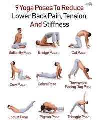 Pin On Brix Wellness