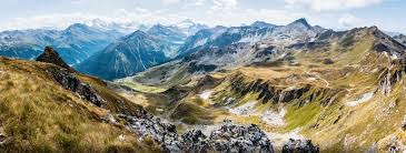 Total and new cases, deaths per day, mortality and recovery rates, current active cases, recoveries, trends and timeline. Sveits Geografi Store Norske Leksikon