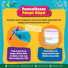 Pemeriksaan Darah Dan Urin Diperlukan Untuk Mengetahui Penurunan Fungsi Ginjal Sejak Dini Direktorat P2ptm