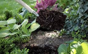Mulch Eine Schutzende Decke Fur Den Gartenboden Man Kann Zum Mulchen Die Unterschiedlichsten Materiali Pflegeleichter Garten Gartenboden Pflanzen