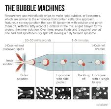 Check spelling or type a new query. How Biologists Are Creating Life Like Cells From Scratch