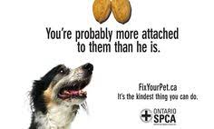 Funny veterinarian humor mug gift. 10 Spay Neuter Marketing Ideas Neuter Spay Dog Cat