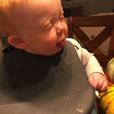 Todd Deibert (@todmicdeibert83) • Instagram photos and videos