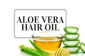 There are countless possibilities to use aloe vera in favor of your hair and. Aloe Vera Hair Oil Benefits How To Make It Usage More The Urban Guide