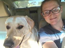 Found male yellow lab near rt8 intersection