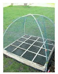 Pin By Brittany Worley On Gardening In 2020 Garden Netting Raised Vegetable Gardens Raised Garden