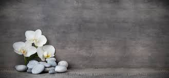 Looking for online definition of spa or what spa stands for? The Spa At Ii Creeks