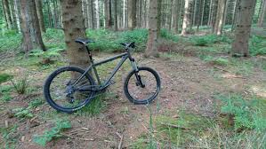 Ragley Marley 2013 Orbea Bicycle Riding