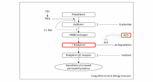 Image result for ACE Inhibitor