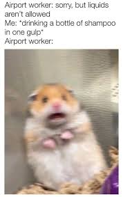 34 Funky Memes That Are Perfect For Procrastination Funny Relatable Memes Stupid Funny Memes Funny Pictures
