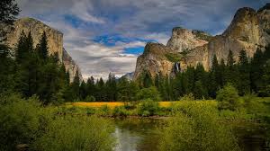 Check spelling or type a new query. 8k Nature Theme 8k Wallpaper Hdwallpaper Desktop Mountain Wallpaper Nature New Wallpaper