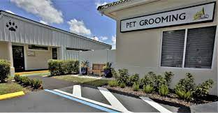 Premier pet care services is offering pet grooming, dog grooming, cat grooming, mobile pet grooming in naples fl. Cat Dog Grooming Naples Fl Nail Trimming Bonita Springs Estero Florida