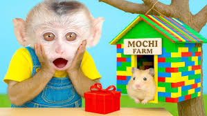 Bibi and the baby monkey find out, worry and find a way to cure the duck's  leg!