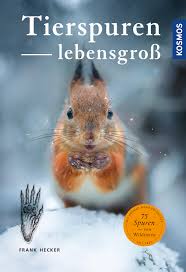 Für kinder jeder altersklasse kann man mit ein wenig phantasie aus dem wald einen immer wieder interessanten spielplatz machen. Tierspuren Lebensgross Tiere Natur Ratgeber Naturfuhrer Bucher Kosmos