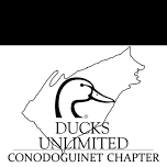 Ducks Unlimited: Wingo - Wings & Bingo