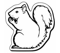 Black And White Squirrel With Acorn Clipart 2 37x2 37 Custom Printed Squirrel Shaped Magnets 20 Mil Animal Shaped Magnets Custom Shaped Magnets Drawings Line Art Drawings Outline Drawings