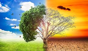 This page will continue to be updated as new information arises. Exploring Climate Change Global Warming