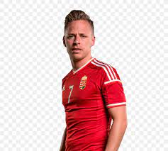 Search for more logos on logocharts.com. Balazs Dzsudzsak Hungary National Football Team Jersey Az Alkmaar Soccer Player Png 640x736px Hungary National Football