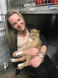 Volunteers are the heart and life force of gifford cat shelter, helping us provide care 365 days a year. Volunteer Quincy Animal Shelter