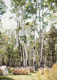 Tara Mike Wedding Flagstaff Arizona Arizona Wedding Venues Outdoor Wedding Venues Arizona Wedding
