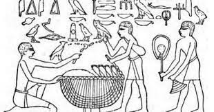 Onions In Ancient Egypt Life In Ancient Egypt Ancient Egypt Ancient Egyptian Food