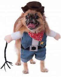 Cute costume designed specifically for cats and puppies, soft fabrics provides comfort. Walking Cowboy Western Wild West Sheriff Pet Dog Cat Halloween Costume